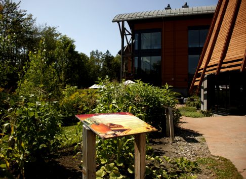 Jardin des trois soeurs - Musée huron-wendat